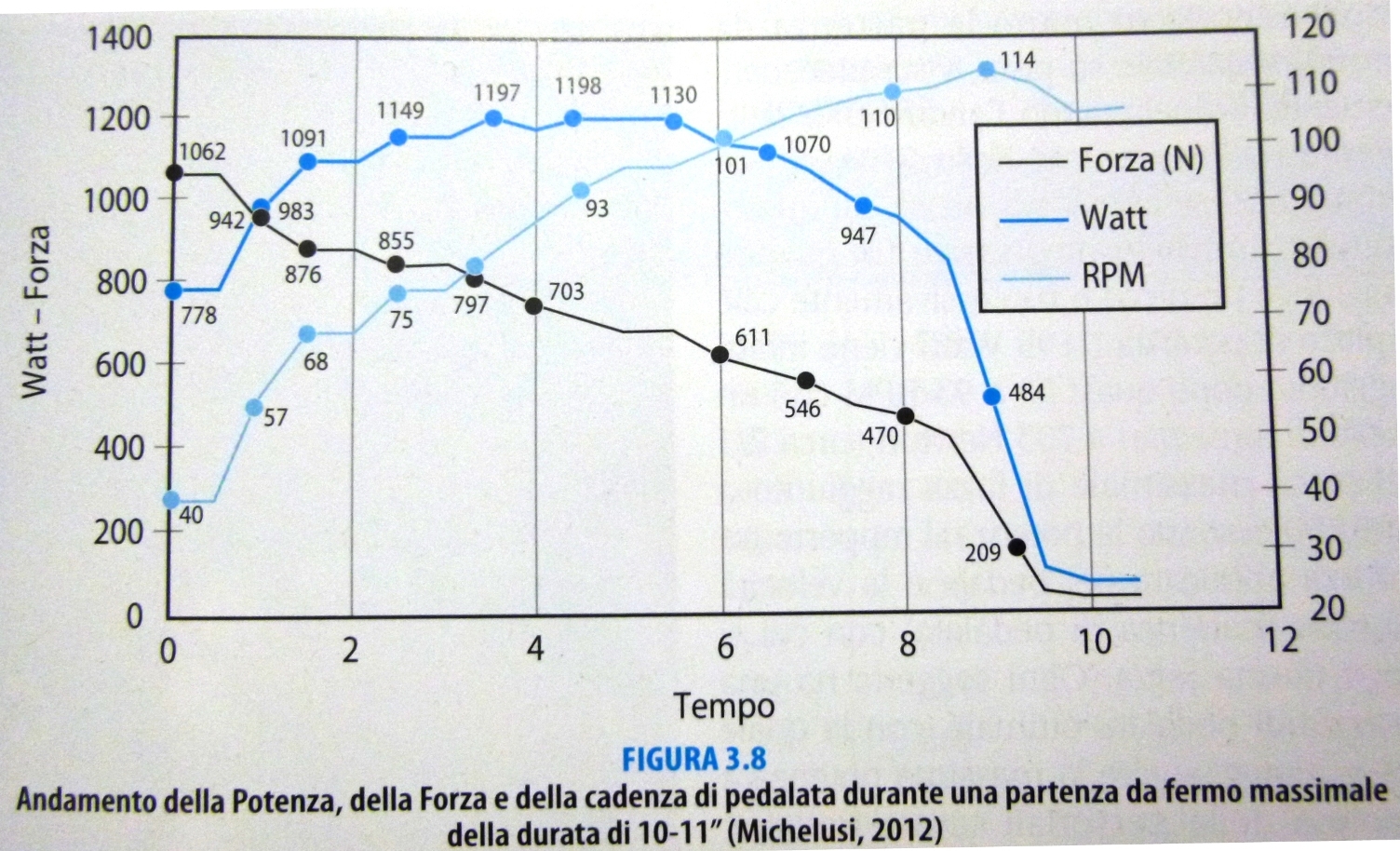 watt - forza